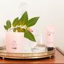 Candles - Portus Cale Candle Blush Pink - CASTELBEL