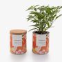 Other smart objects - Tin Can Garden - DO NOT USE - LIFE IN A BAG