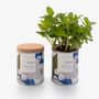 Other smart objects - Tin Can Garden - DO NOT USE - LIFE IN A BAG