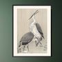Poster - Japanese print birds Grey Herons form Ohara Koson ready to be framed 30x40 cm - BILLPOSTERS