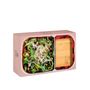 Kitchen utensils - Maneki Neko / Lunchboxes  - DONKEY PRODUCTS