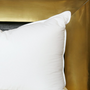 Comforters and pillows - Goose Down Pillow - CROWN GOOSE