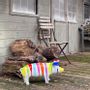 Outdoor decorative accessories - Pig trash outdoor - AMADEUS