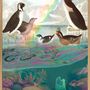 Affiches - Affiche. Sea birds. - THE DYBDAHL CO.