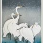 Poster - Poster. Snowy Heron. - THE DYBDAHL CO.