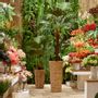 Floral decoration - Palm trees - LOU DE CASTELLANE - artificial plants and flowers - LOU DE CASTELLANE