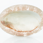 Gifts - Resin with Shell Caviar Dish - LILY JULIET