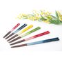Gifts - Chopsticks beautiful gradation color - HASHIFUKU