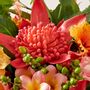 Décorations florales - Bouquet hibiscus et protea - LOU DE CASTELLANE - Fleurs artificielles plus vraies que nature  - LOU DE CASTELLANE