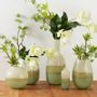 Décorations florales - Vases panama dracaena - LOU DE CASTELLANE - Fleurs artificielles plus vraies que nature  - LOU DE CASTELLANE
