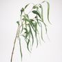 Floral decoration - Eucalyptus curly - LOU DE CASTELLANE - Artificial flowers more true than nature  - LOU DE CASTELLANE