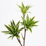 Floral decoration - Branch mini dracaena - LOU DE CASTELLANE - Artificial flowers more true than nature  - LOU DE CASTELLANE