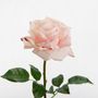 Floral decoration - Rose lady reality - LOU DE CASTELLANE - Artificial flowers more true than nature  - LOU DE CASTELLANE