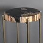 Decorative objects - Petrified Wood Side Tables - ATELIERS C&S DAVOY