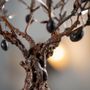 Objets de décoration - olivier en métal brut  - L'OLIVIER FORGÉ