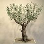 Customizable objects - Big olive tree - L'OLIVIER FORGÉ