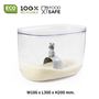 Forks - Lucky Mouse Rice Container + Scoop : Kitchenware Trays Drinks Spice Salt and Pepper Shaker Cactus Dining and Tableware  - QUALY DESIGN OFFICIAL
