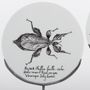 Unique pieces - Insect Curiosity Disk - VERONIQUE JOLY-CORBIN