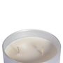 Gifts - Basil Mandarin Scented Natural Candle - ECHOES CANDLE & SCENT LAB.