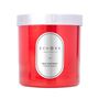 Gifts - New Year Spirit Scented Natural Candle - ECHOES CANDLE & SCENT LAB.