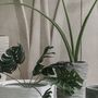 Flower pots - Modern Planters - NATURE'S LEGACY