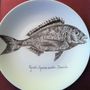 Other wall decoration - Illustrated plates Collection “MER” - VERONIQUE JOLY-CORBIN