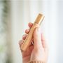 Other smart objects - Element Lighter - GINGKO