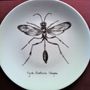 Decorative objects - Illustrated plates Collection “INSECTE” - VERONIQUE JOLY-CORBIN