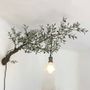 Other wall decoration - Wall branch 60 twigs - L'OLIVIER FORGÉ