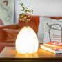 Other smart objects - Smart Vase Light - GINGKO