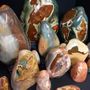 Decorative objects - Polychrome Jasper blocks, cabinet of curiosities. - METAMORPHOSES