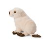 Soft toy - WWF Plush Arctic Fur Seal  - WWF PLUSH COLLECTION