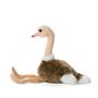 Peluches - WWF Plush Ostrich - WWF PLUSH COLLECTION