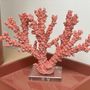 Decorative objects - CORAL - SO SKIN - IDASY