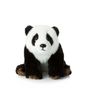 Peluches - WWF Plush Panda  - WWF PLUSH COLLECTION