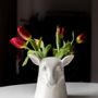 Decorative objects - Stag kitchen tidy - SUCK UK