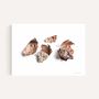 Art photos - “Avocado & the Lava” / Wall Decor / Giclée print - DOEN STUDIO