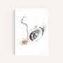 Art photos - “Oyster & leaves” / Wall Decor / Giclée Print - DOEN STUDIO