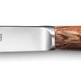 Kitchen utensils - OSLO Steak knife - ALAIN SAINT- JOANIS