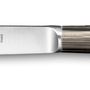 Kitchen utensils - OSLO Steak knife - ALAIN SAINT- JOANIS