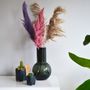 Gifts - TOP SALE - Cactus mix in a black face pot - PLANTOPHILE
