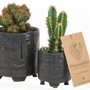 Cadeaux - TOP VENTE - Cactus mix dans un cache-pot visage noir - medium - PLANTOPHILE