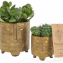 Cadeaux - TOP VENTE - Cactus mix dans un cache-pot visage doré  - PLANTOPHILE