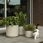 Floral decoration - TOUGH outdoor fibre stone pot  - D&M DECO