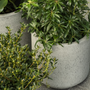 Floral decoration - TOUGH outdoor fibre stone pot  - D&M DECO