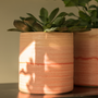 Décorations florales - CAPRICE pot d'intérieur en céramique - D&M DECO