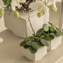 Floral decoration - CONSTANT indoor ceramic pot  - D&M DECO