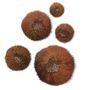 Other wall decoration - Wall decoration URCHIN - VERO REATO