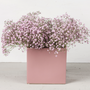 Floral decoration - BASIC indoor pot - D&M DECO
