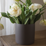 Décorations florales - BASIC pot intérieur - D&M DECO